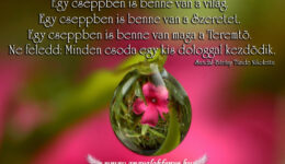 Angyali üzenet-Egy cseppben