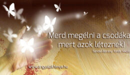 Angyali üzenet-Merd megélni a csodákat