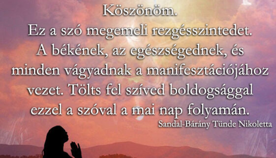 Angyali üzenet-Minden vágyad manifesztációja