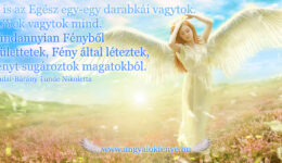 Angyali üzenet-Egész darabkái vagytok