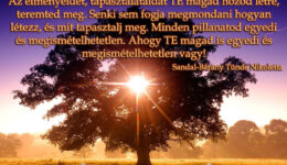 Angyali üzenet-Lásd a tökéletességet mindenben