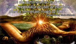 Angyali üzenet-A természet maga az Élet