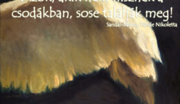 Angyali üzenet-Higgy a csodákban