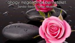 Angyali üzenet-Olyanok vagytok, akár a rózsák