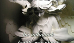 Angyali üzenet-Szeretetünk határtalan