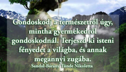 Angyali üzenet-Gondoskodj a természetről