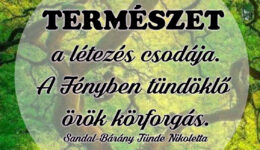 Angyali üzenet-A természet a létezés csodája