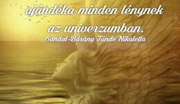 Angyali üzenet-Szabad akaratod van dönteni