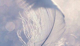 Angyali üzenet-Angyali jel