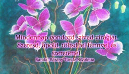 Angyali üzenet-Gondozd szíved virágját