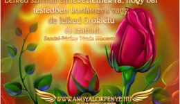 Angyali üzenet-Lelked szabad