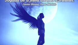 Angyali üzenet-Nyisd meg szívedet az új lehetőségek felé