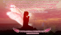 Angyali üzenet-Ha a hála frekvenciáján vagy