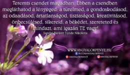 Angyali üzenet-Teremts csendet magadban