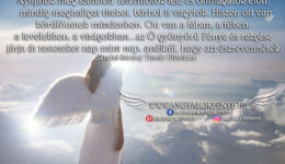 Angyali üzenet-Nyíljatok meg szeretett Teremtőtök felé