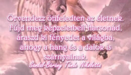Angyali üzenet-Örvendezz önfeledten az életnek