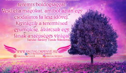 Angyali üzenet-Teremts szeretettel, teremts hittel