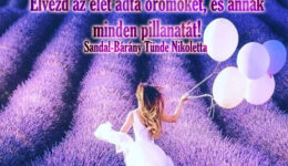 Angyali üzenet-Élvezd a szabadságot