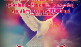 Angyali üzenet-A lényeg az, ami a szívedben van