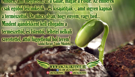 Angyali üzenet: Minden, ami megterem, az a Gaiáé
