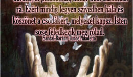 Angyali üzenet-Az Élet képes meglepetéseket okozni