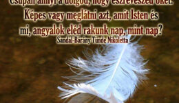 Angyali üzenet-Minden aprócska jel előtted hever