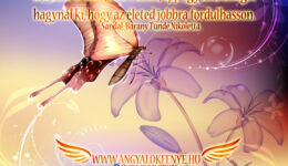 Angyali üzenet-Minden változásban lásd meg a csodát