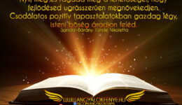 Angyali üzenet-Nyílj meg és ragadd meg a lehetőséget