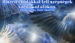 Angyali üzenet-Fedezzétek fel az önmagatokban rejlő lehetőségeket