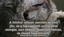 Angyali üzenet-A feltétel nélkül szeretet szívből jön