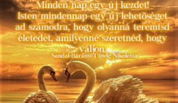 Angyali üzenet-Minden nap egy új kezdet