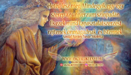 Angyali üzenet-Számtalan életed volt