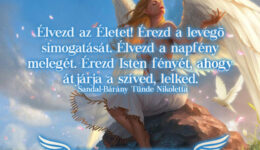 Angyali üzenet-Élvezd az Életet