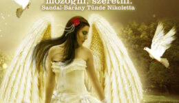 Angyali üzenet-Adj hálát kiváltságaidért