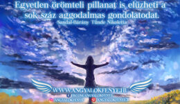 Angyali üzenet-Egyetlen örömteli pillanat