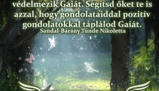 Angyali üzenet-Segítsd Gaiát