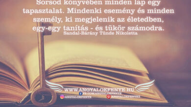 Photo of Angyali üzenet: Sorsod könyve