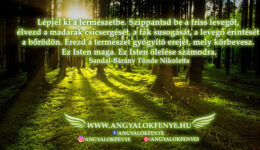 Angyali üzenet: Lépjél ki a természetbe