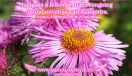 Angyali üzenet: Az élet túl rövid