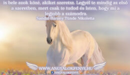 Angyali üzenet: Legyél első a szeretetben