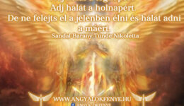 Angyali üzenet: Adj hálát