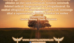 Angyali üzenet: Maradj a béke és harmónia oldalán