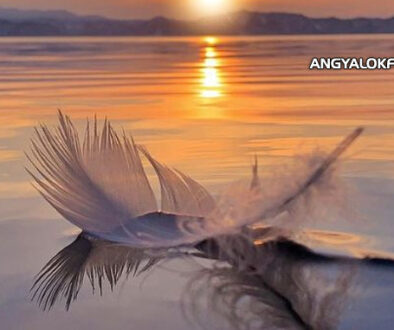 Angyaltoll - Angyali üzenet: Nem minden földi kötelék örök